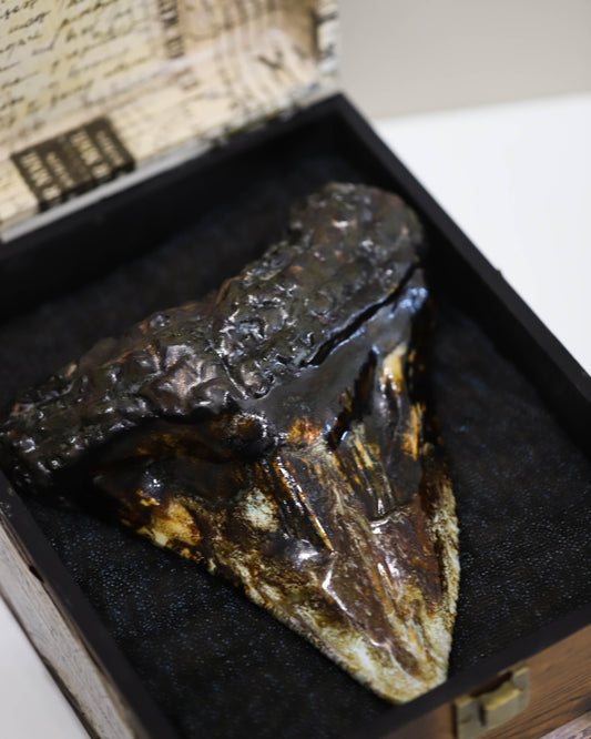 Gallery - Ancient Fury