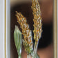 Framed Glass Wheat Sculpture - Gold