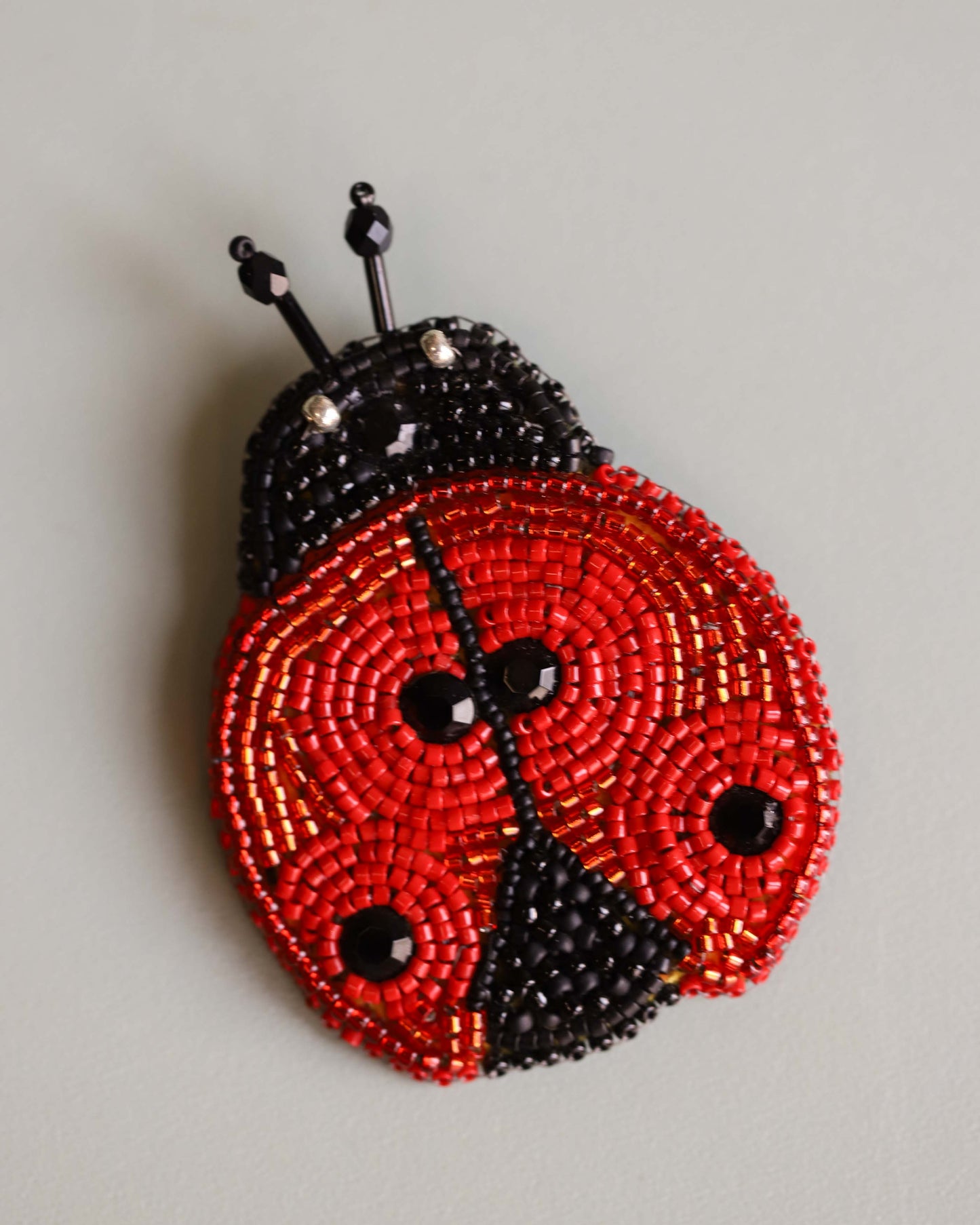 Ladybug Pin