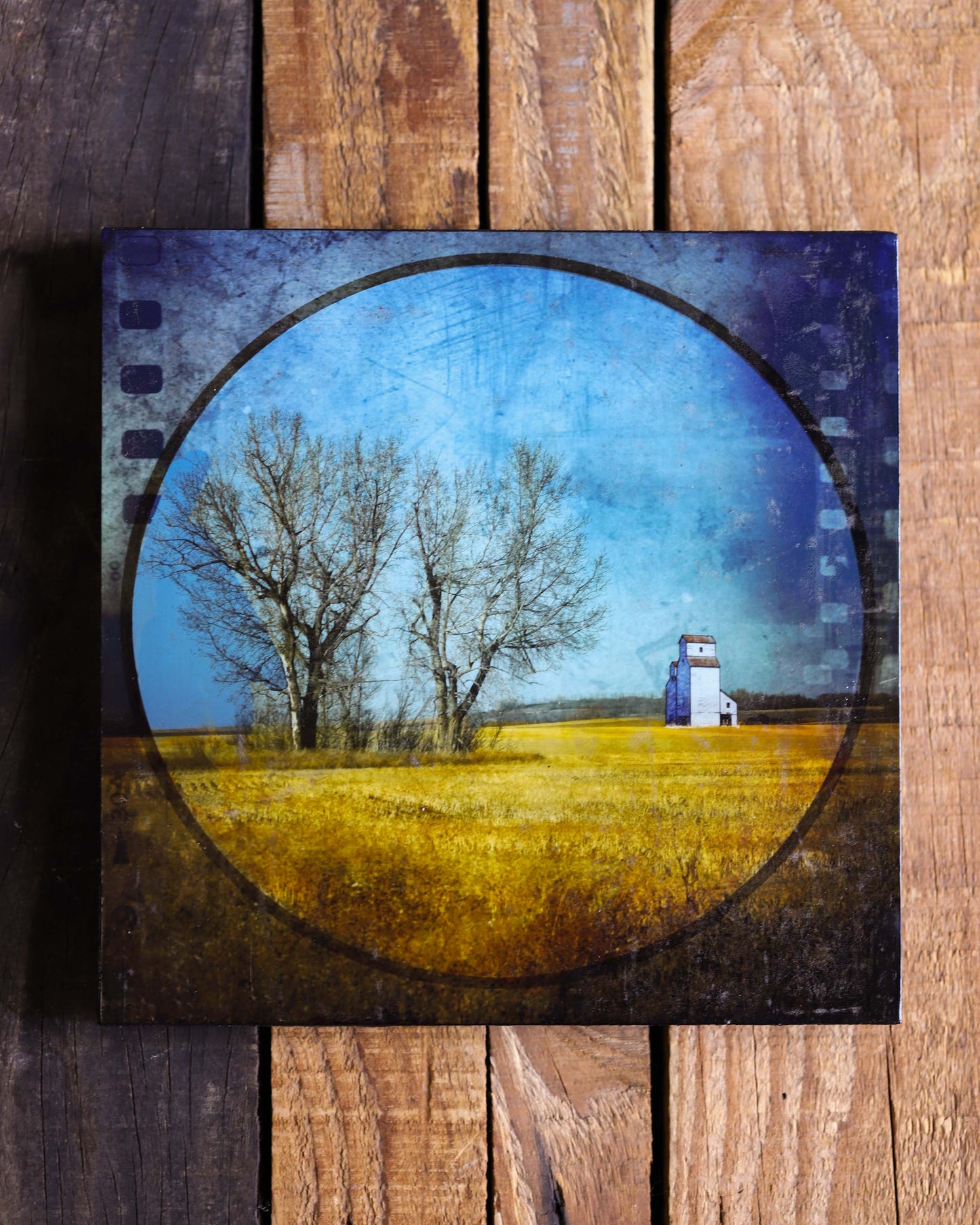 Old Trees Art Board