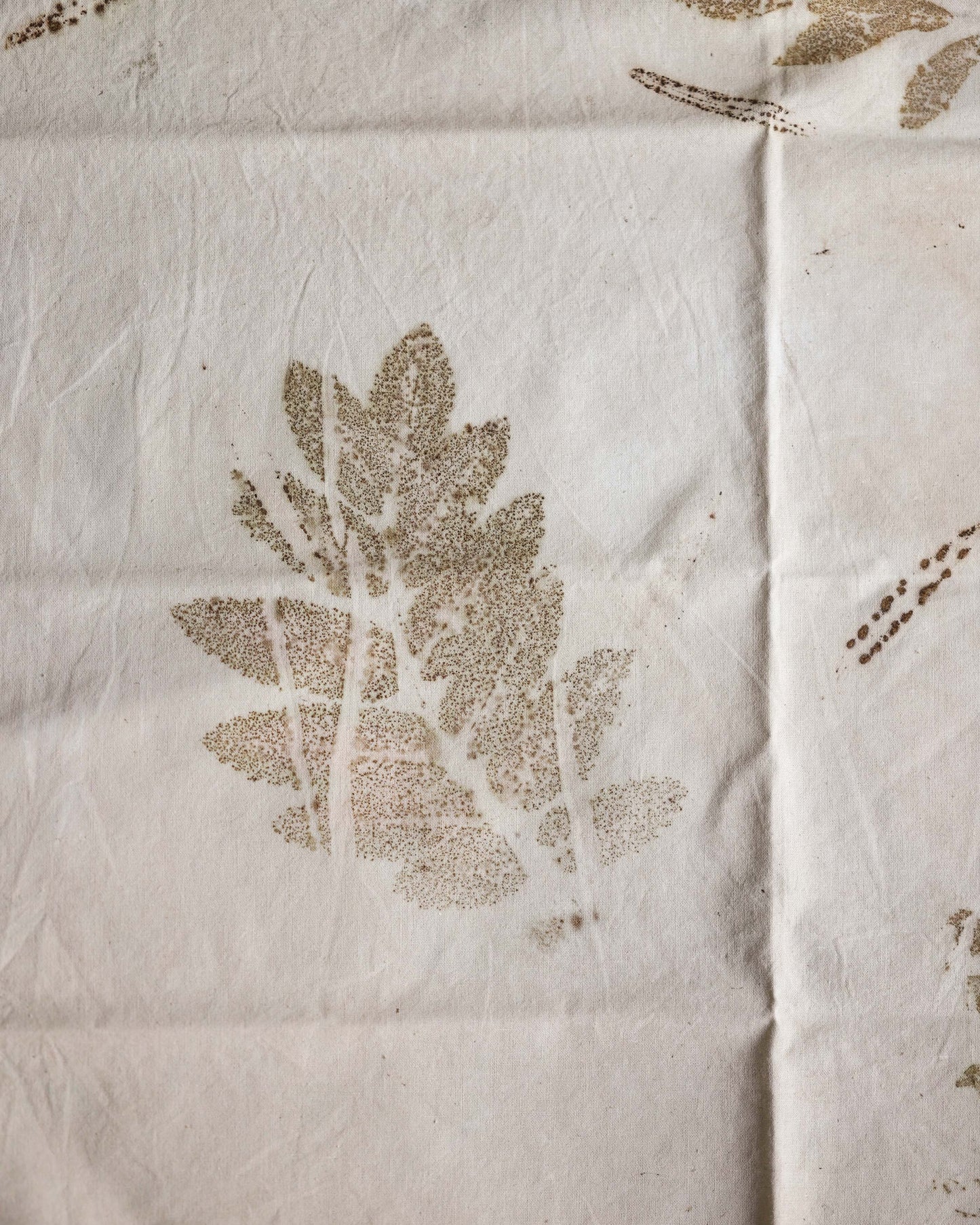 Set of 4 Eco-Printed Napkins