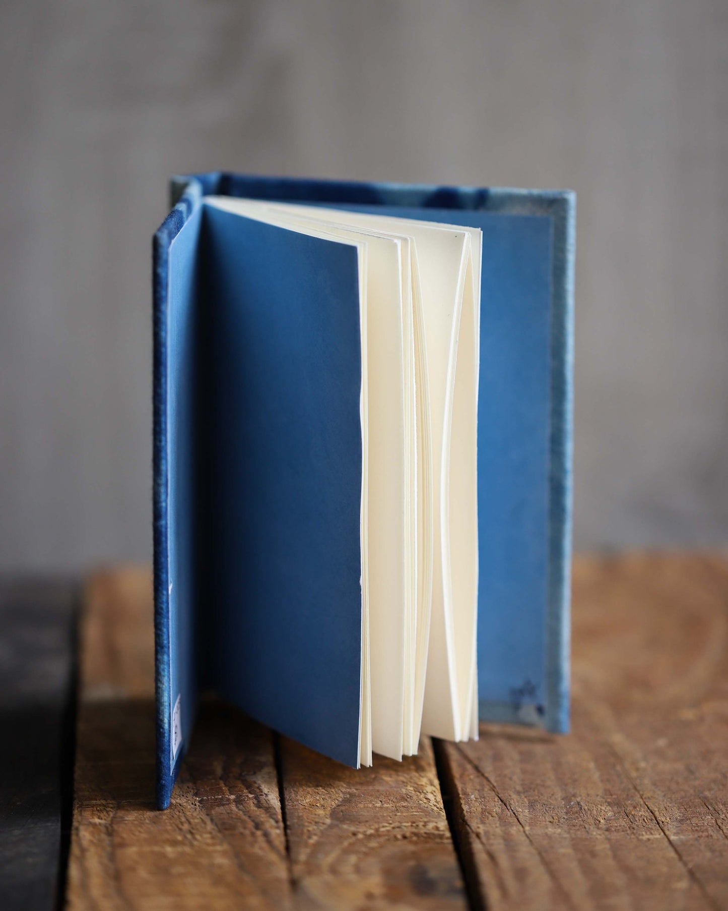 Handmade Notebook - Saslsify Cyanotype