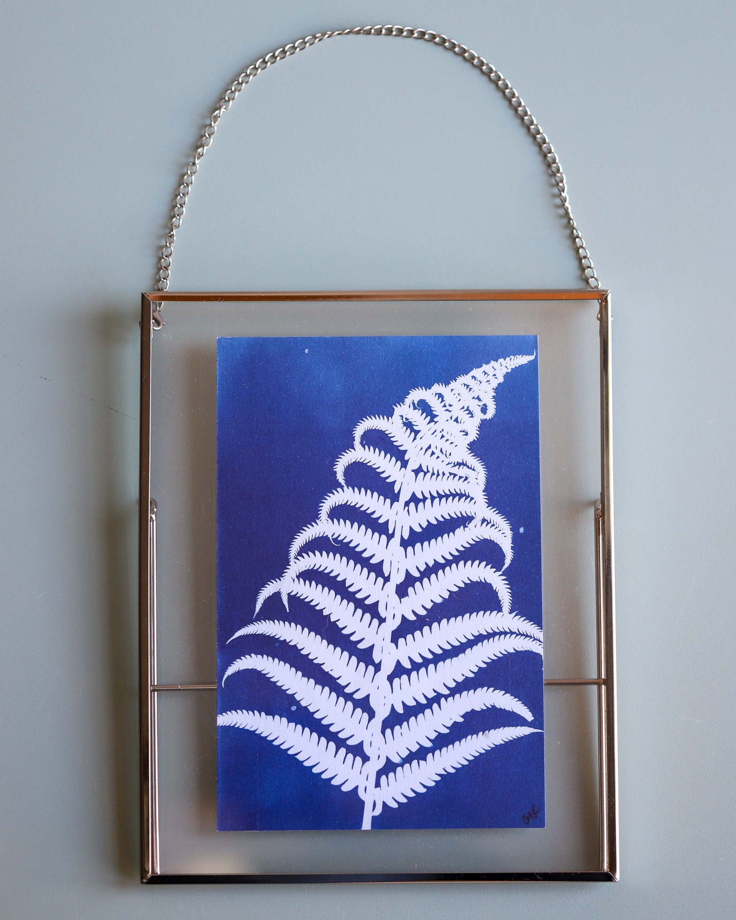 Framed Fern Cyanotype