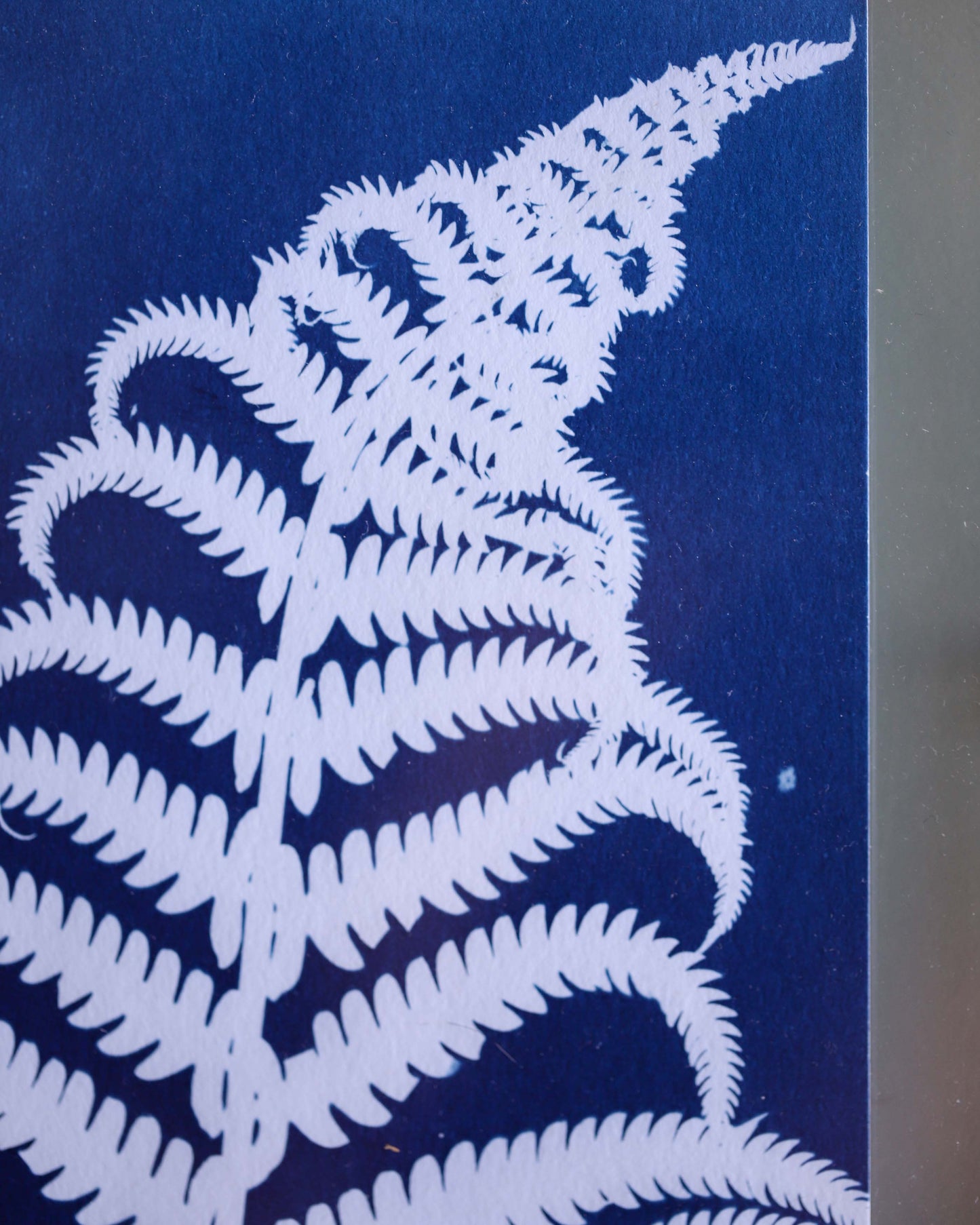 Framed Fern Cyanotype