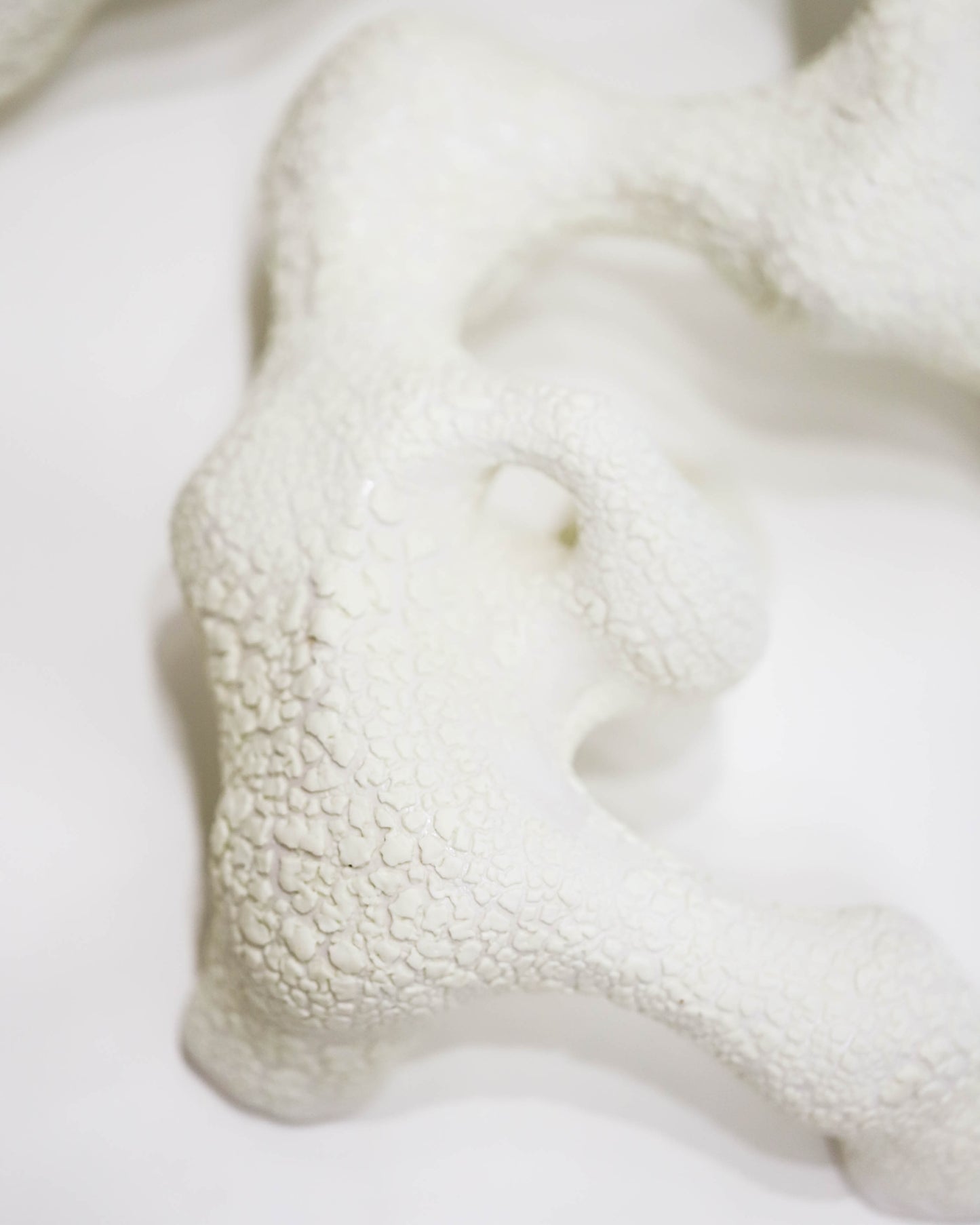 Gallery - Shadow Play