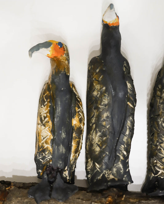 Gallery - The Cormorant Family