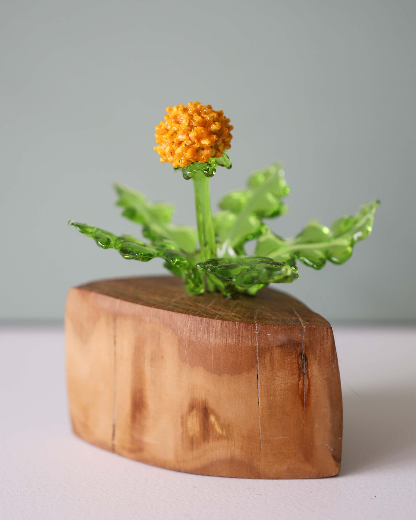 Large Dandelion