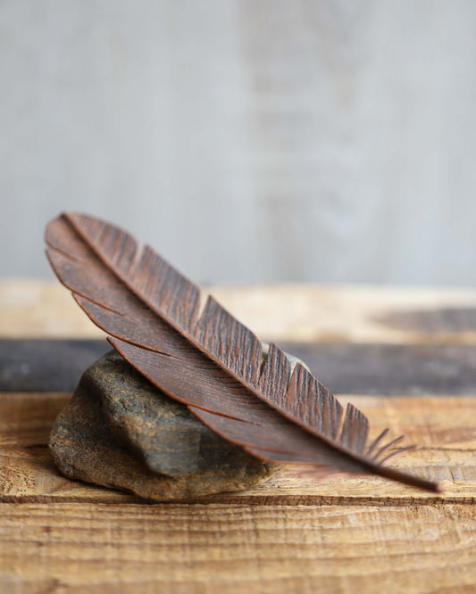 Copper Feather on Rock