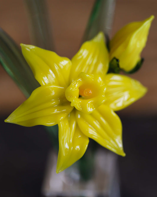 Glass Daffodil Sculpture
