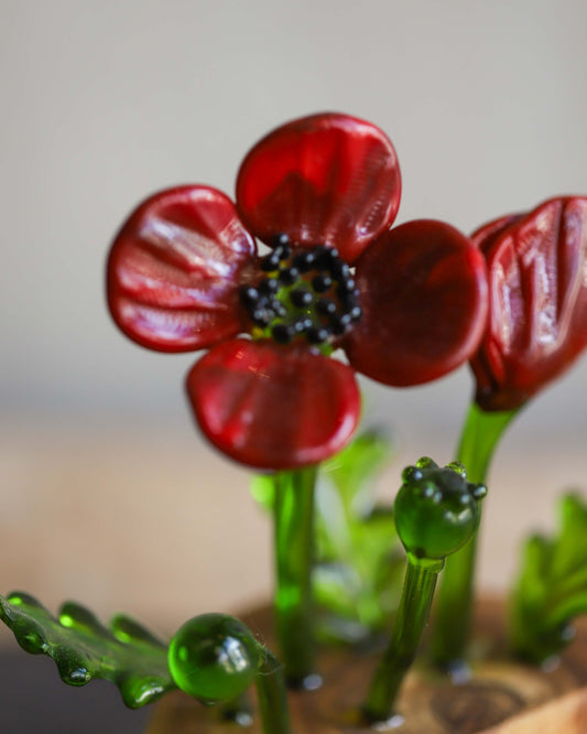 Glass Poppy Sculpture