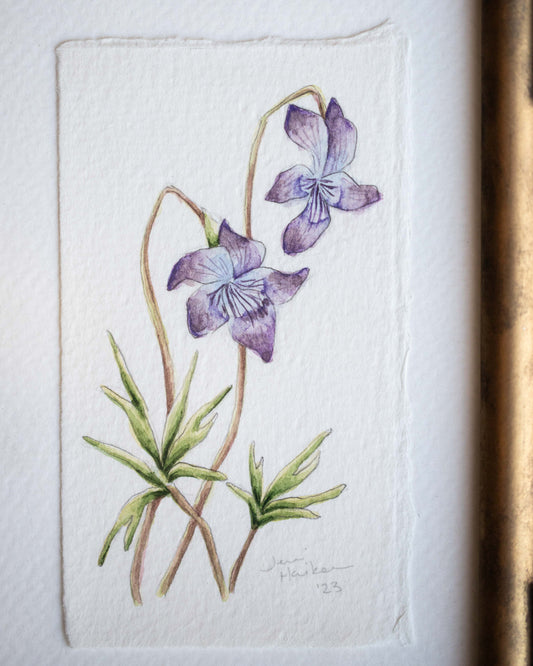 Violet & Tickseed Painting
