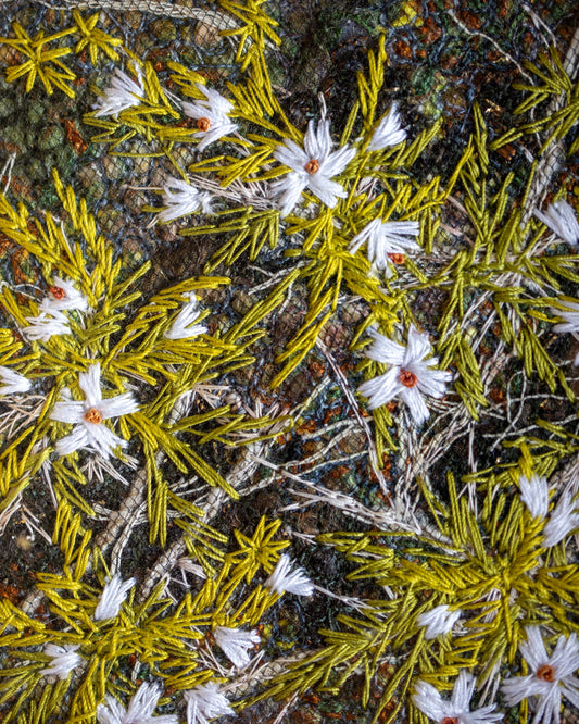 Biocrust No. 30