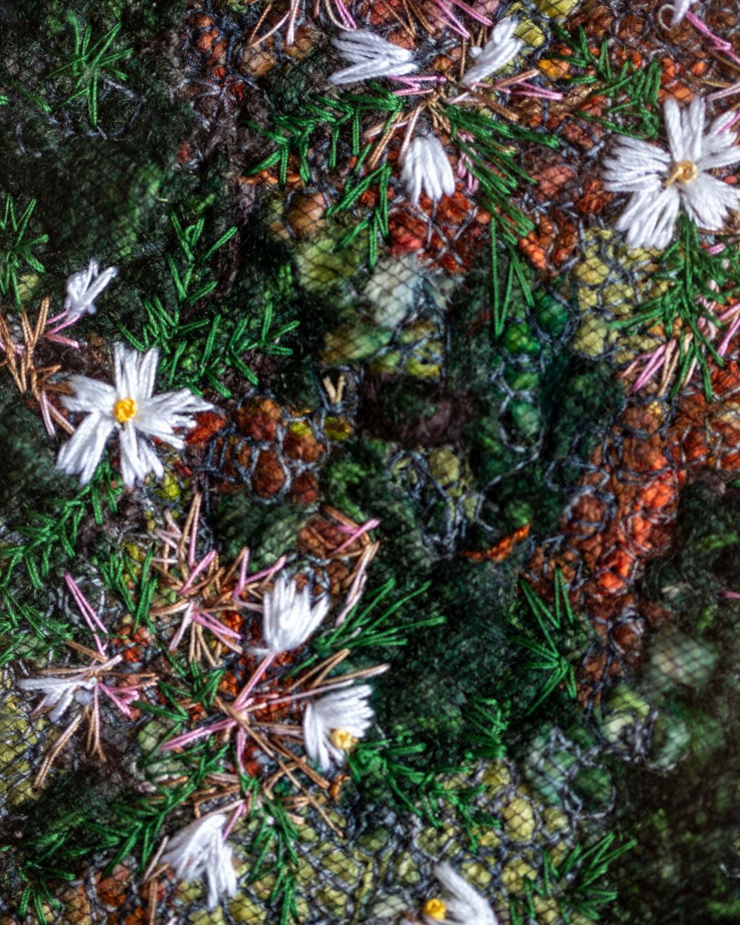 Biocrust No. 39