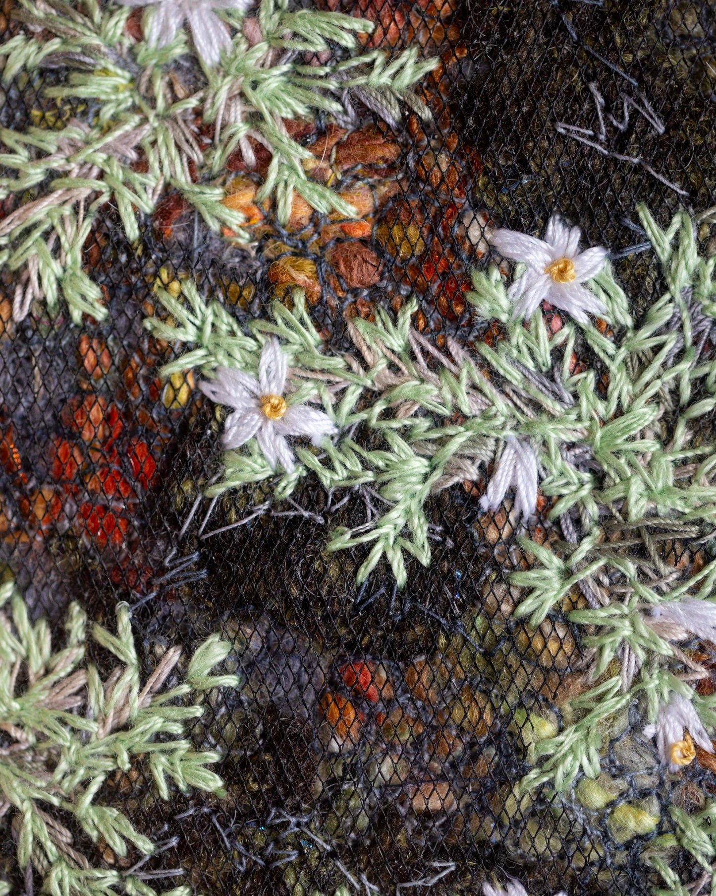 Biocrust No. 33