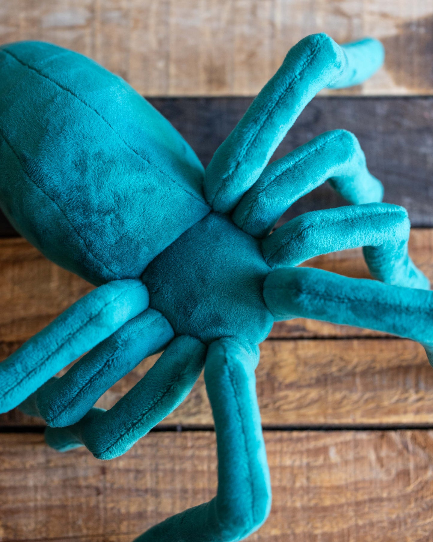 Green Spider Plushie