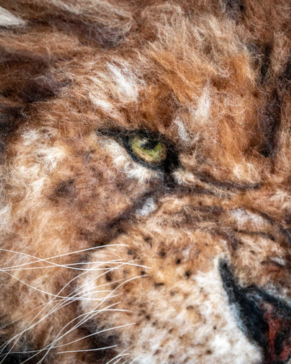Felted Lion Picture