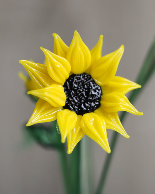 Glass Sunflower