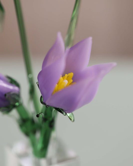 Glass Crocus Sculpture