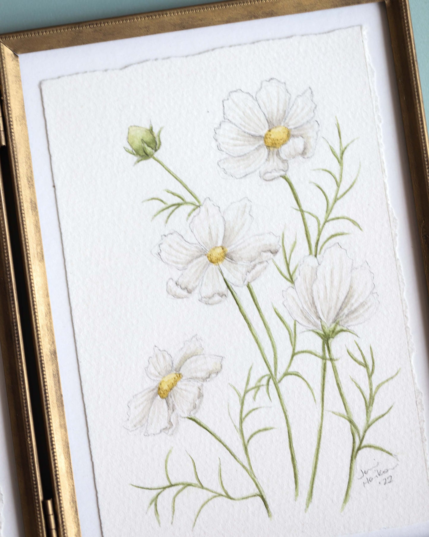 Larkspur & Cosmos Diptych