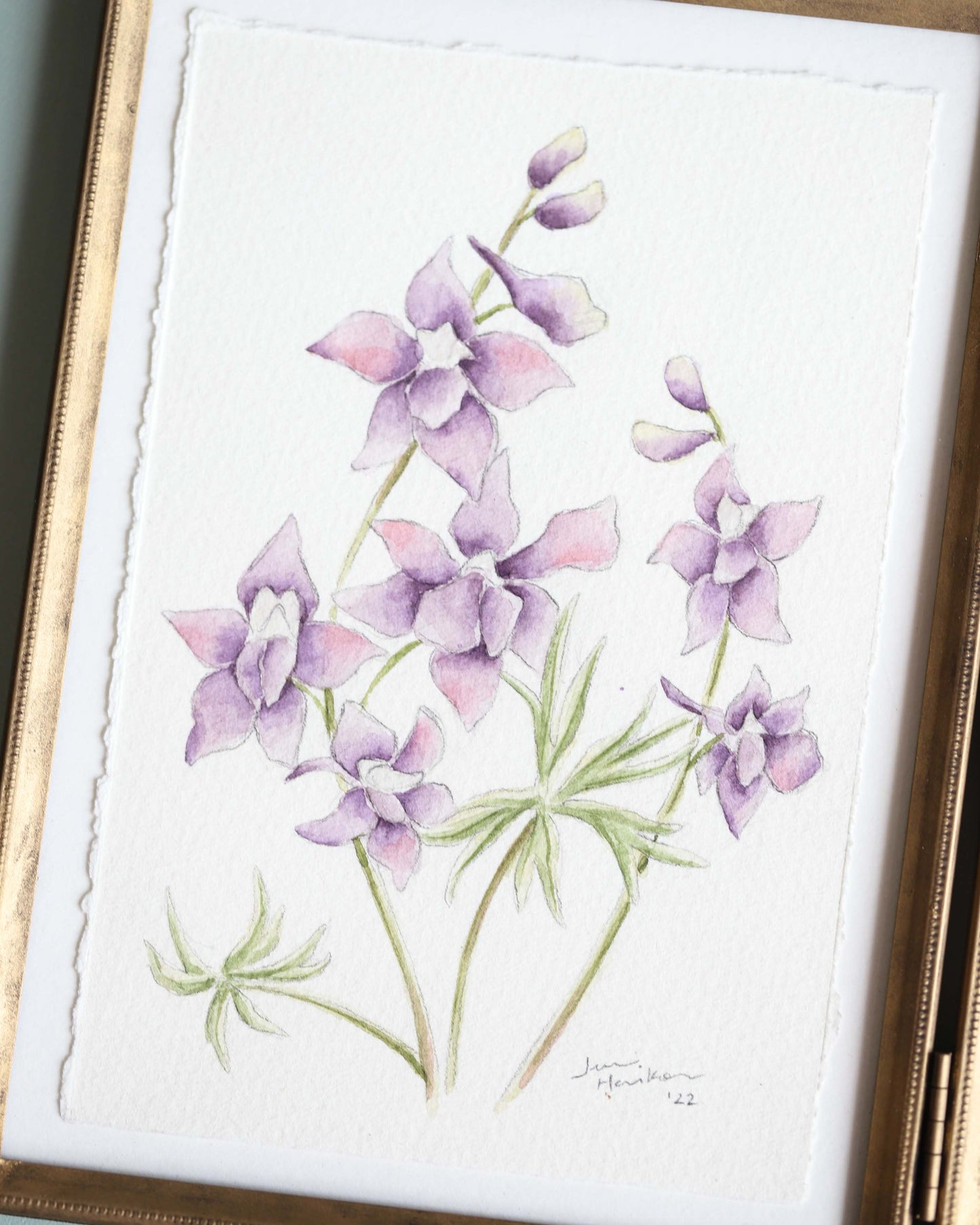 Larkspur & Cosmos Diptych