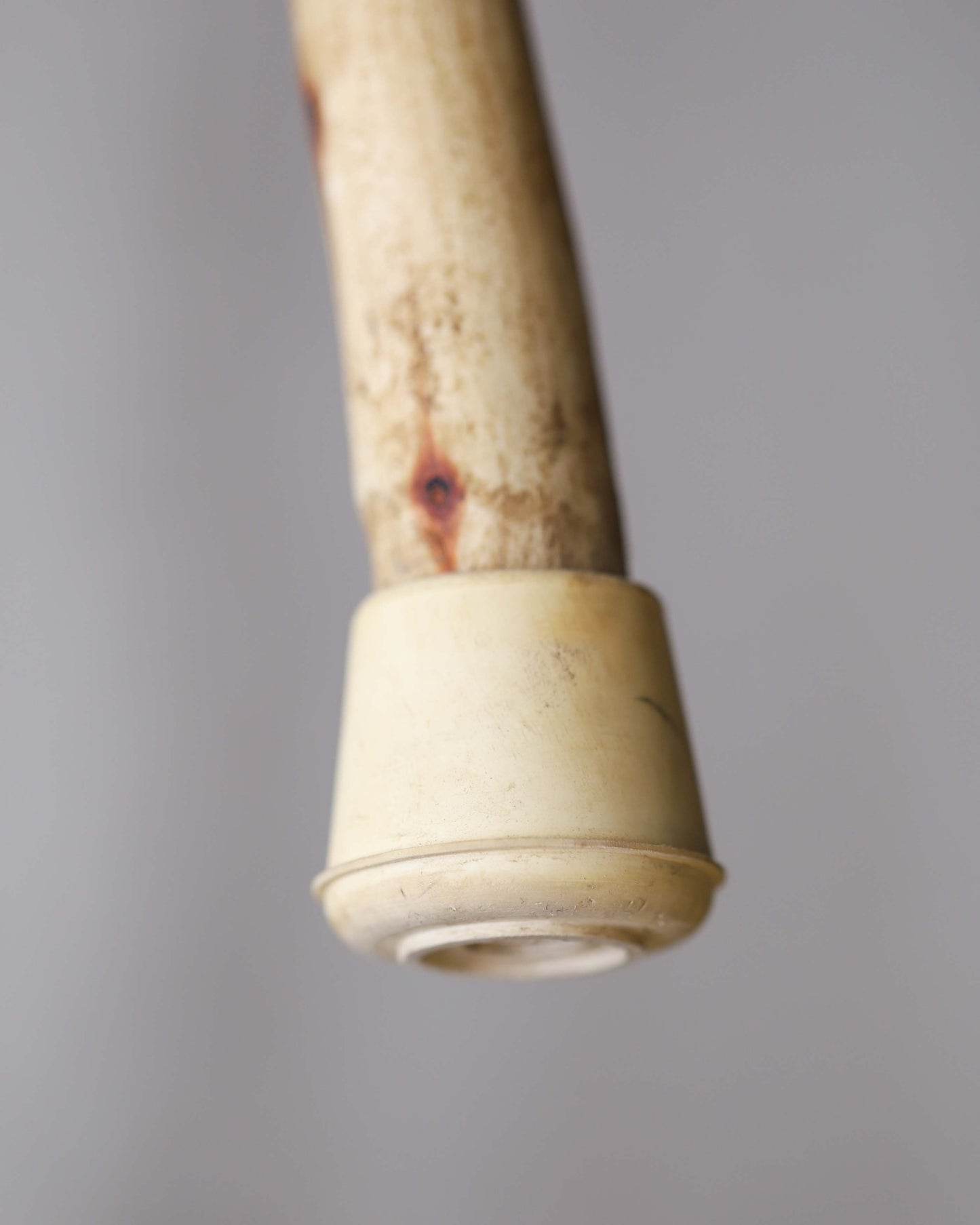 Carved Walking Stick