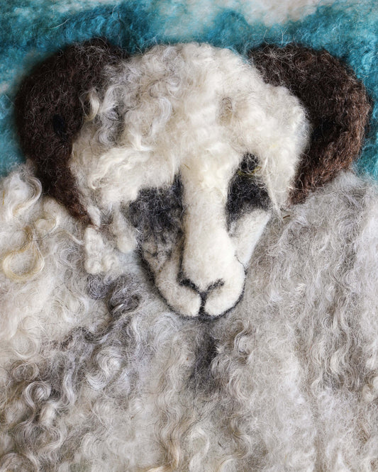 Sheep Fibre Art
