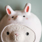 Rabbit Suit Cat Wall Pillow