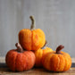 Felted Pumpkins