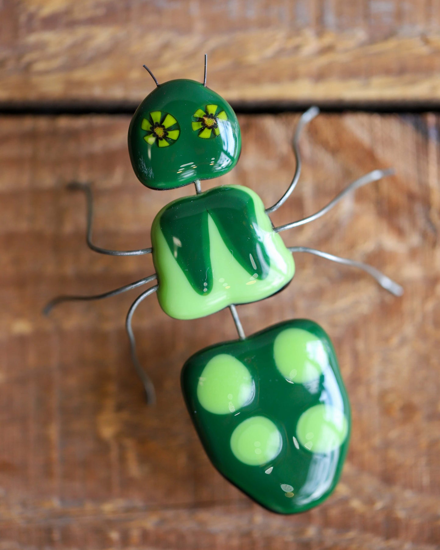 Glass Bug, Green Ant