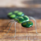 Glass Bug, Green Ant