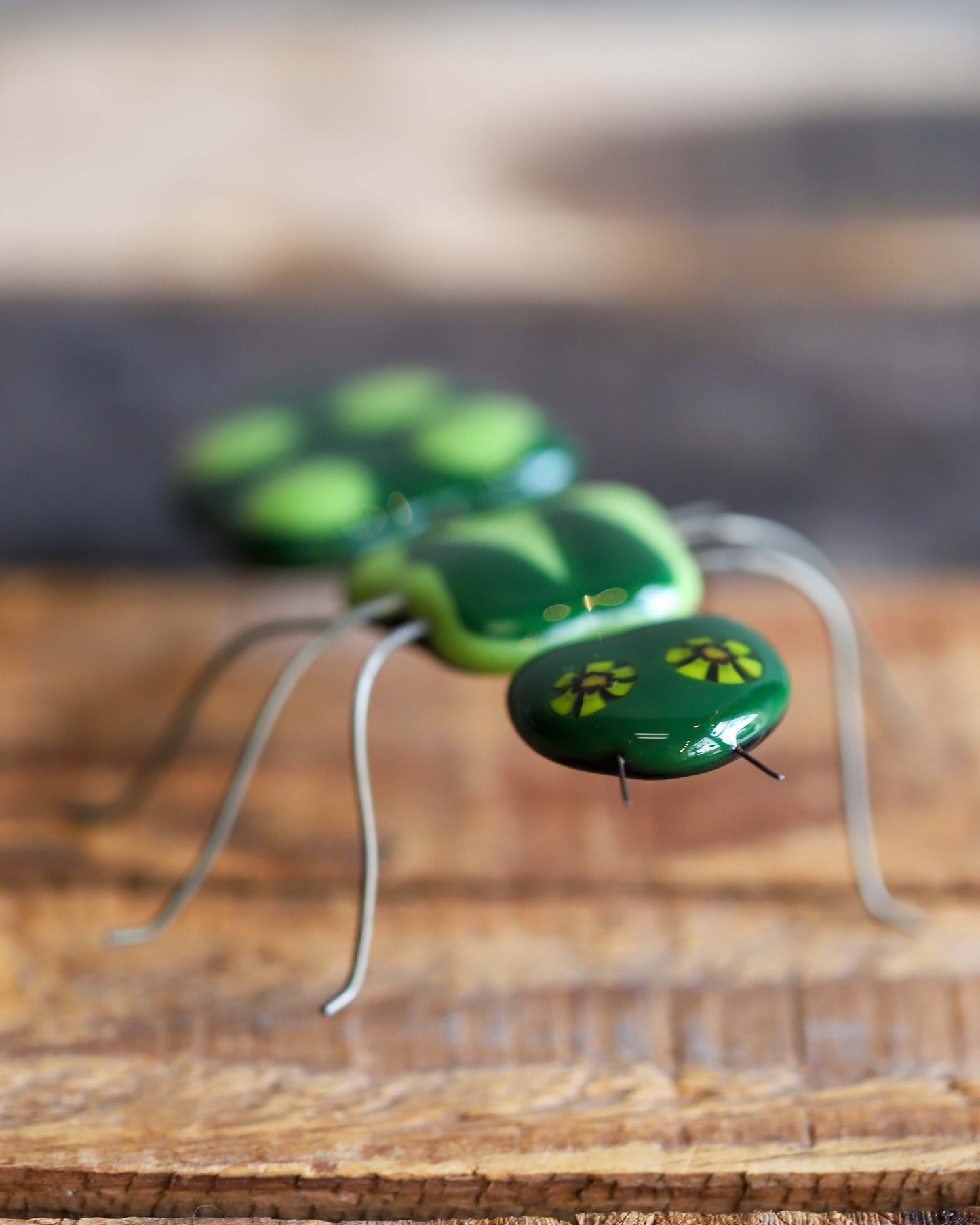 Glass Bug, Green Ant