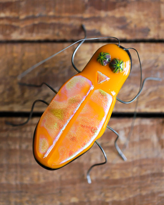 Glass Bug, Orange Cockroach