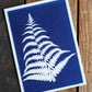 Fern Cyanotype Prints