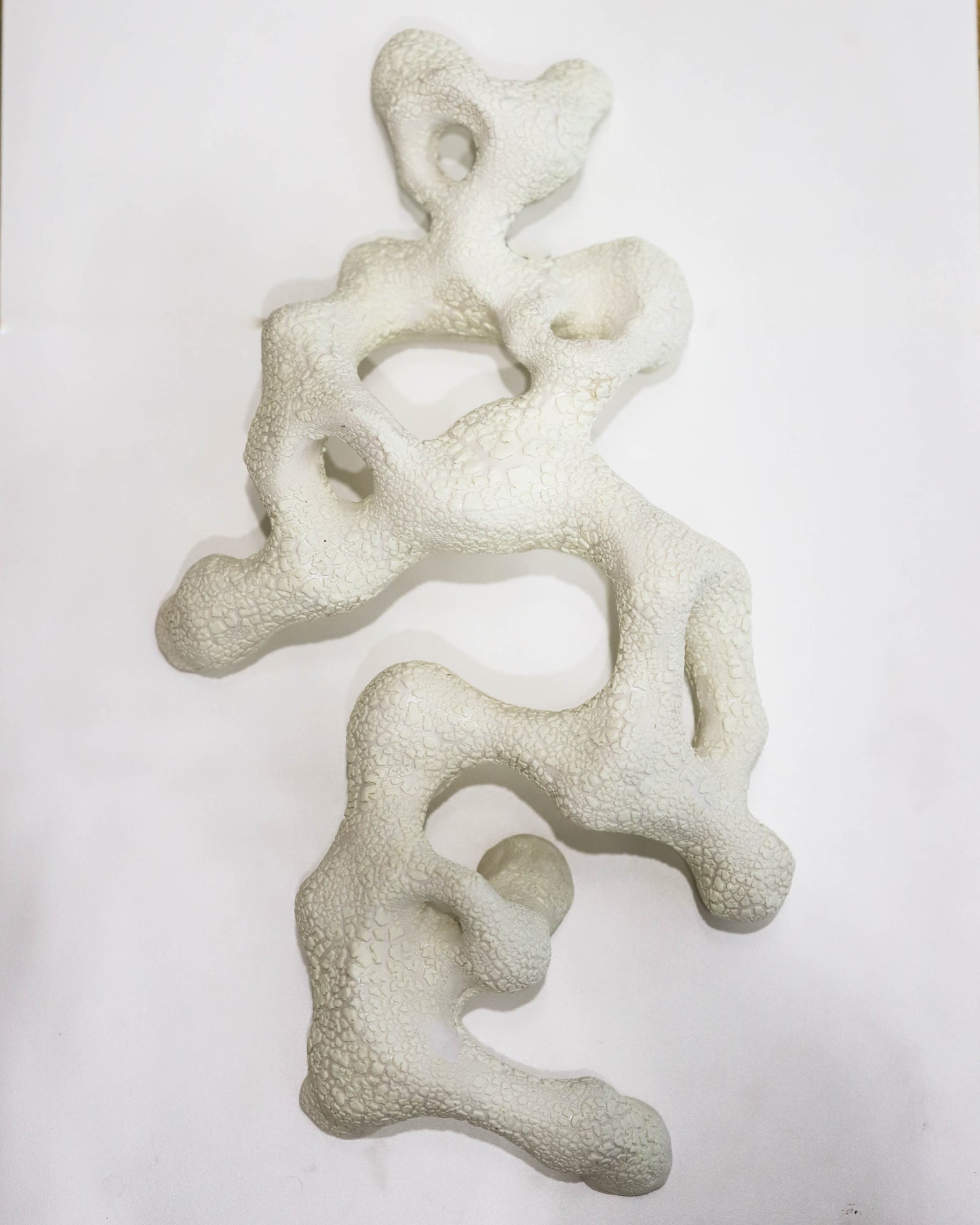 Gallery - Shadow Play