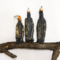 Gallery - The Cormorant Family