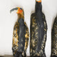 Gallery - The Cormorant Family