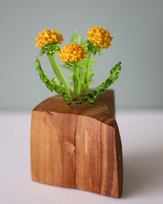 Triple Dandelion