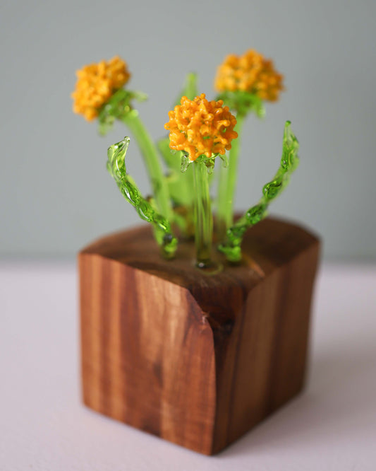 Triple Dandelion