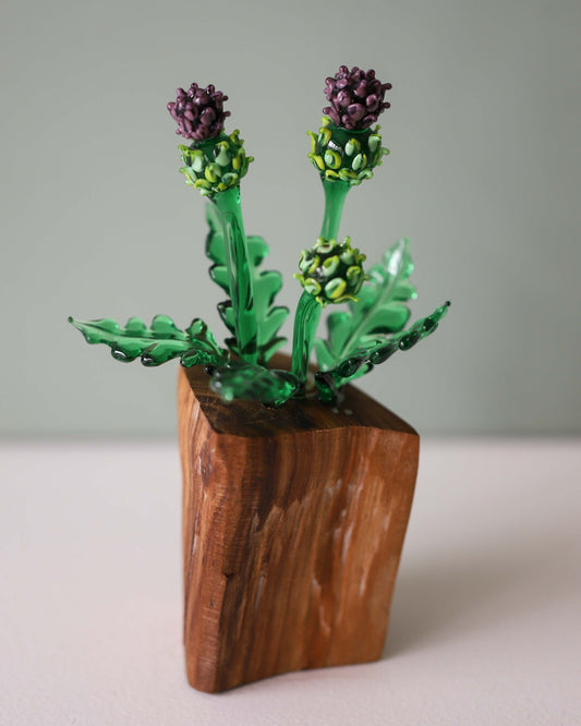 Thistle