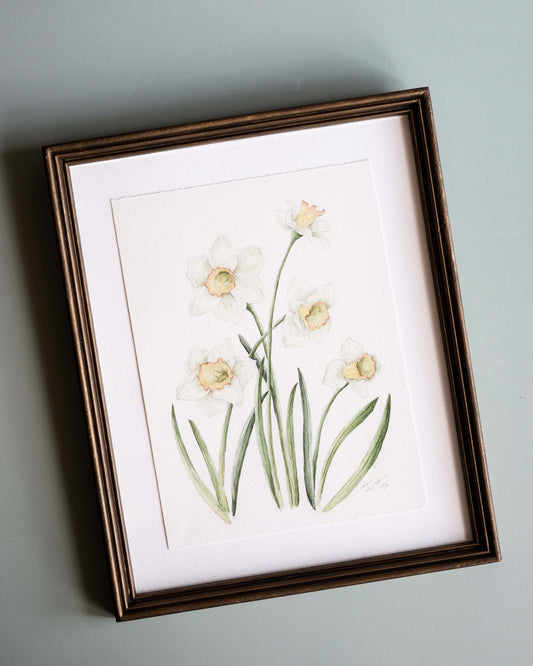Daffodil Botanical Painting