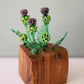 Thistle