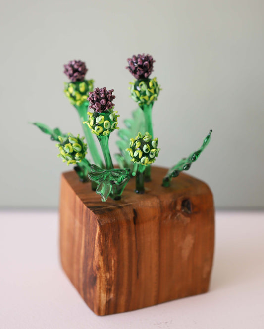 Thistle