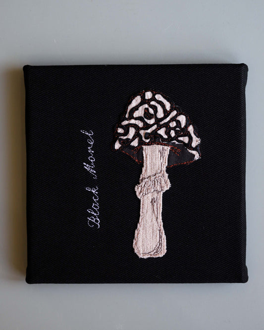Black Morel