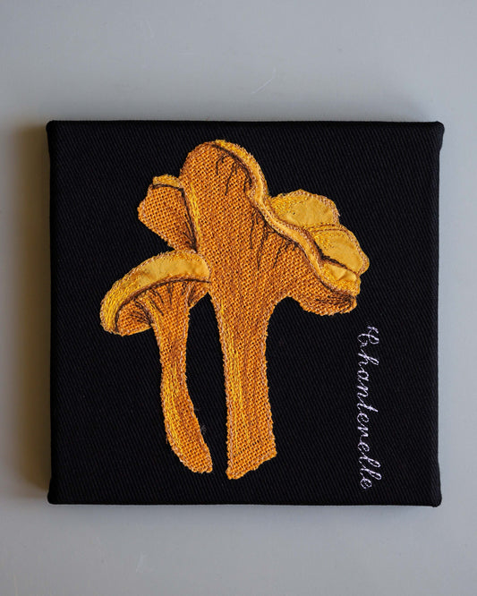 Chanterelle