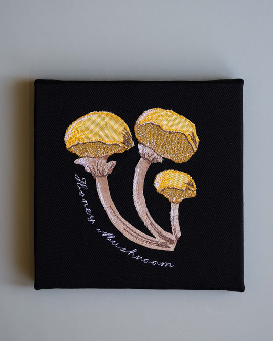 Honey Mushroom