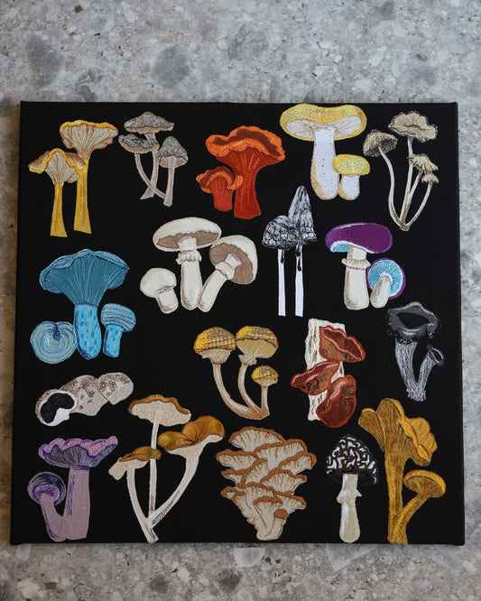 Edible Sask Mushrooms