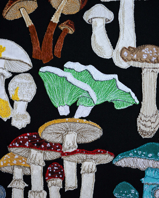 Poisonous Sask Mushrooms