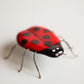 Glass Lady Bug