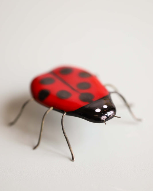 Glass Lady Bug