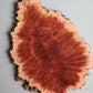 Red Mallee Board